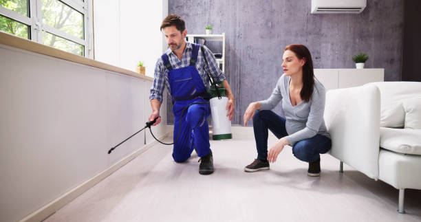 Best Pest Prevention Services  in Augusta, ME